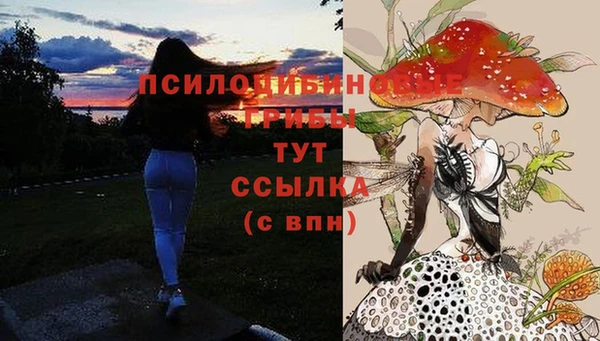 наркотики Богородск