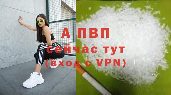 гидропоника Богданович