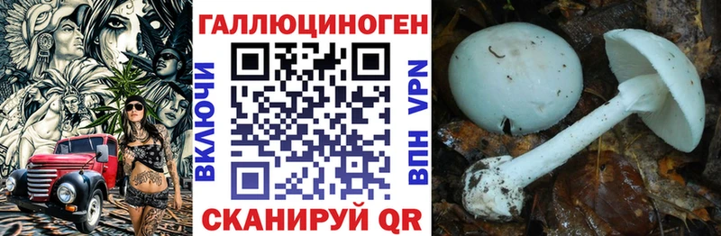 Псилоцибиновые грибы мицелий  Микунь 
